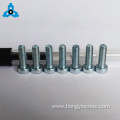 Binding head titanium machine screw